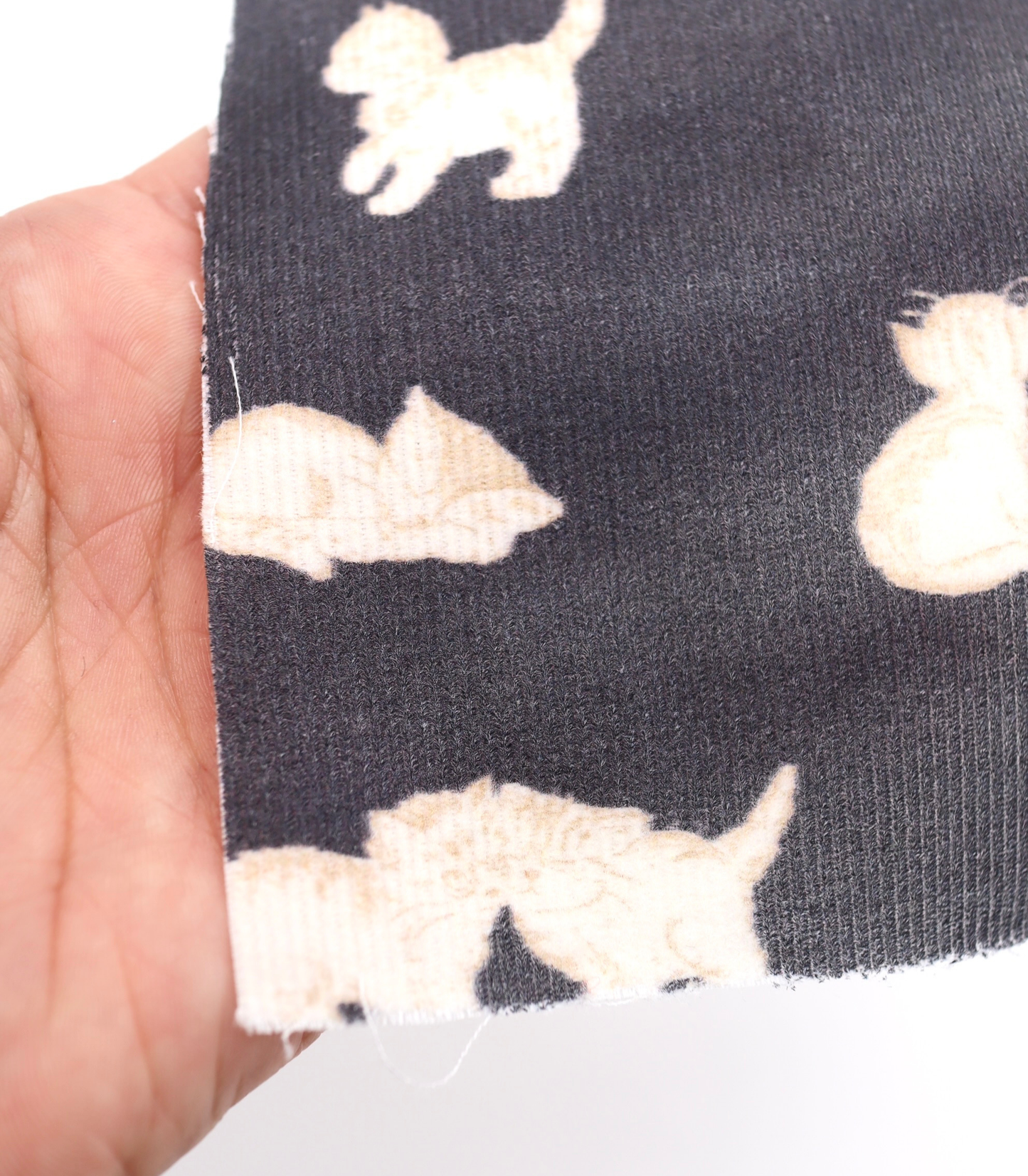 【25SS-123】きままな子猫ちゃんプリントコーデュロイ /0.5yあたり=~ 920円