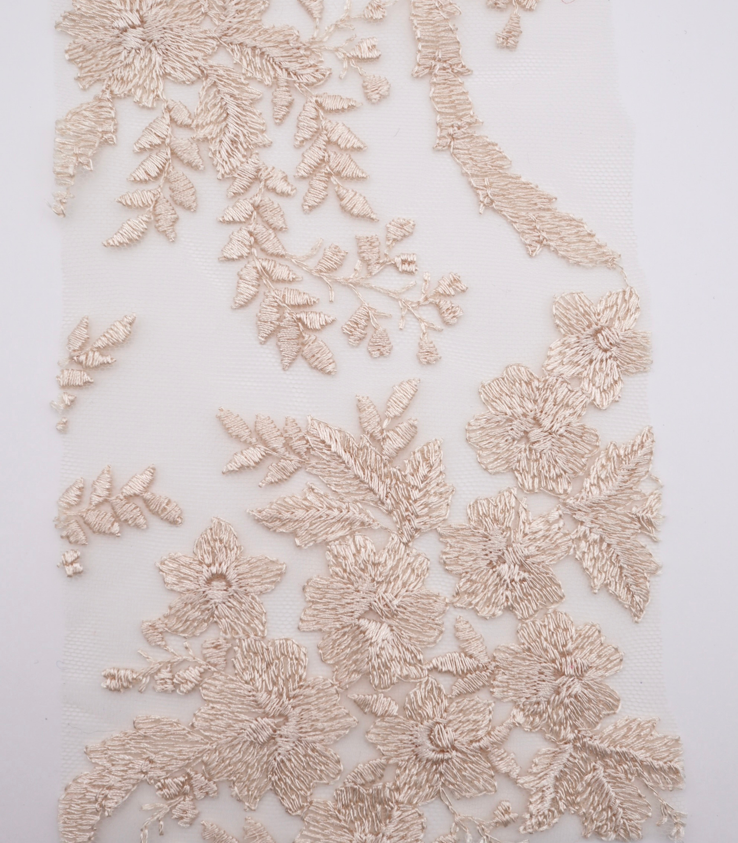【25SS-390】スカラップチュール刺繍レース /0.5yあたり=~1700円