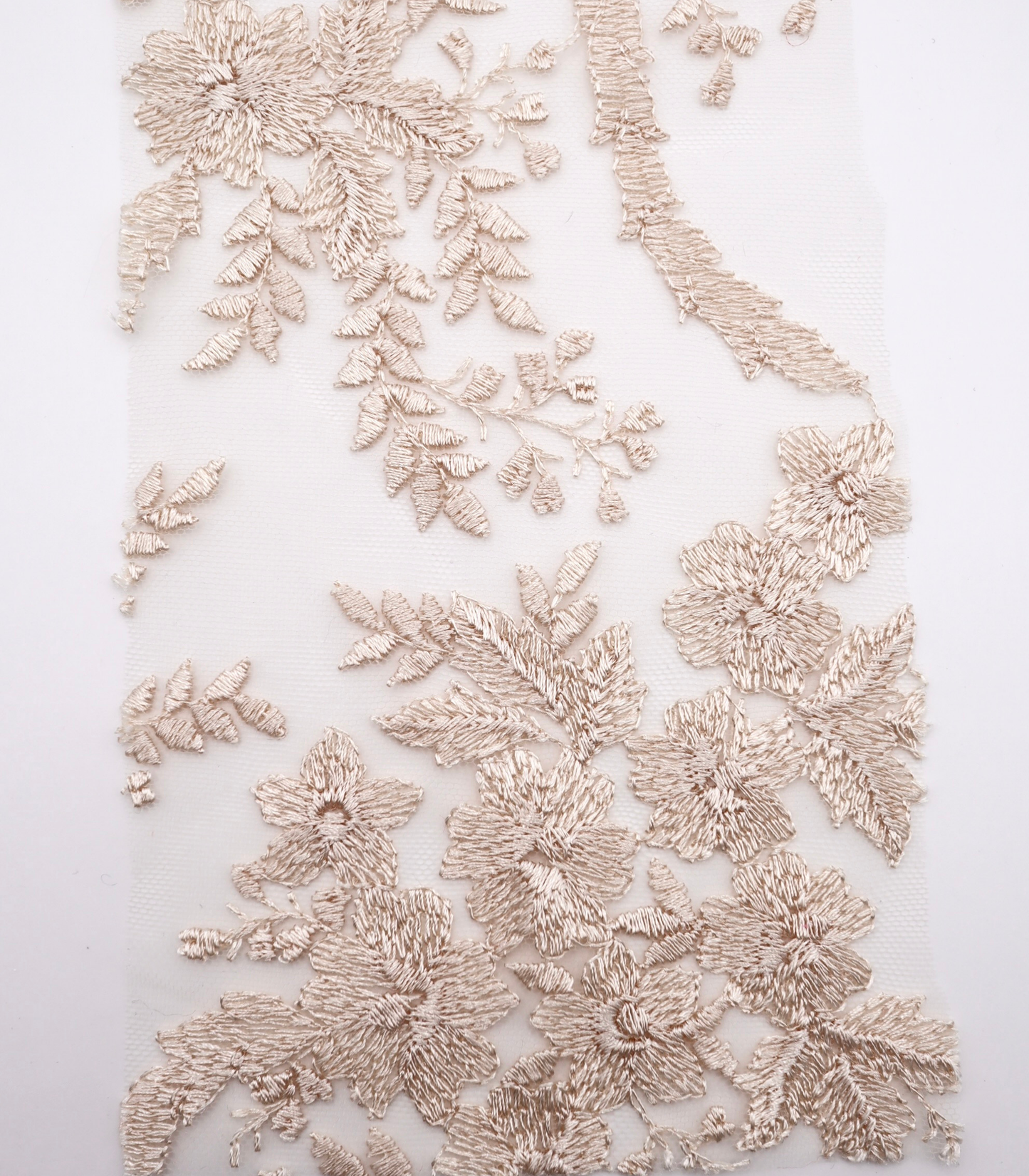 【25SS-390】スカラップチュール刺繍レース /0.5yあたり=~1700円