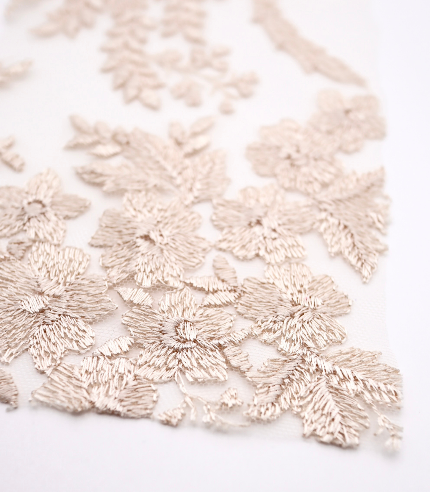 【25SS-390】スカラップチュール刺繍レース /0.5yあたり=~1700円