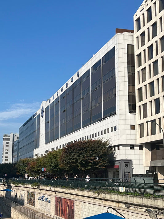 韓国生地を仕入れるなら知っておきたい「東大門市場」とは？