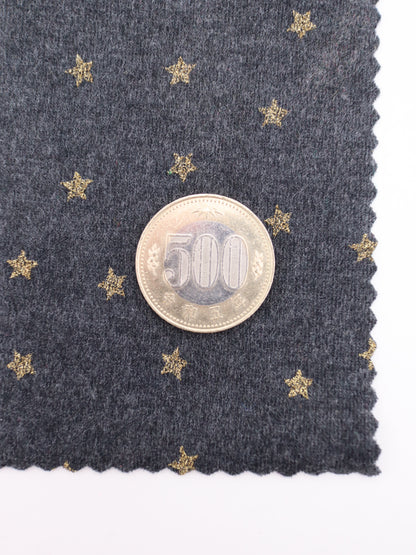500円玉との比較で見る星ドットのサイズ感とプリントの間隔