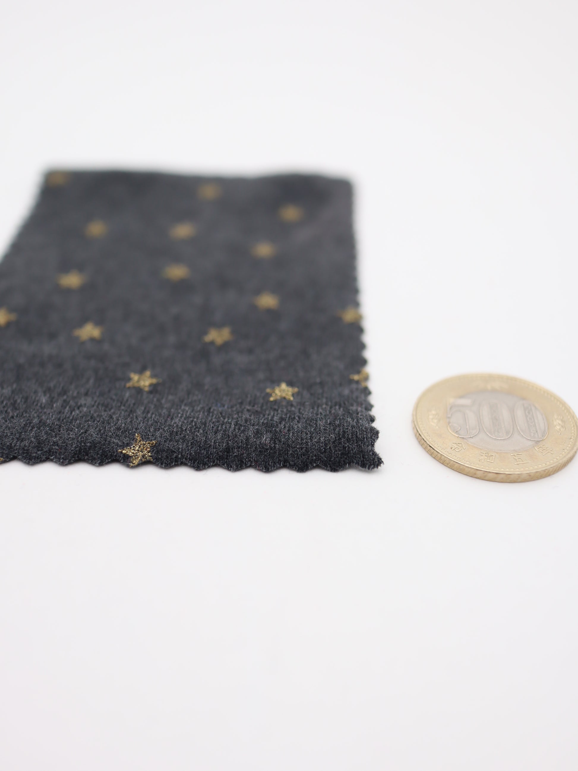 500円玉との比較で見る星ドットのサイズ感とプリントの間隔