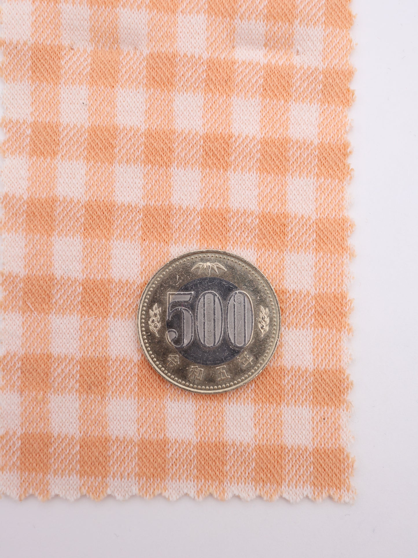 500円玉との比較で見るチェック柄のサイズ感、製品設計の参考に