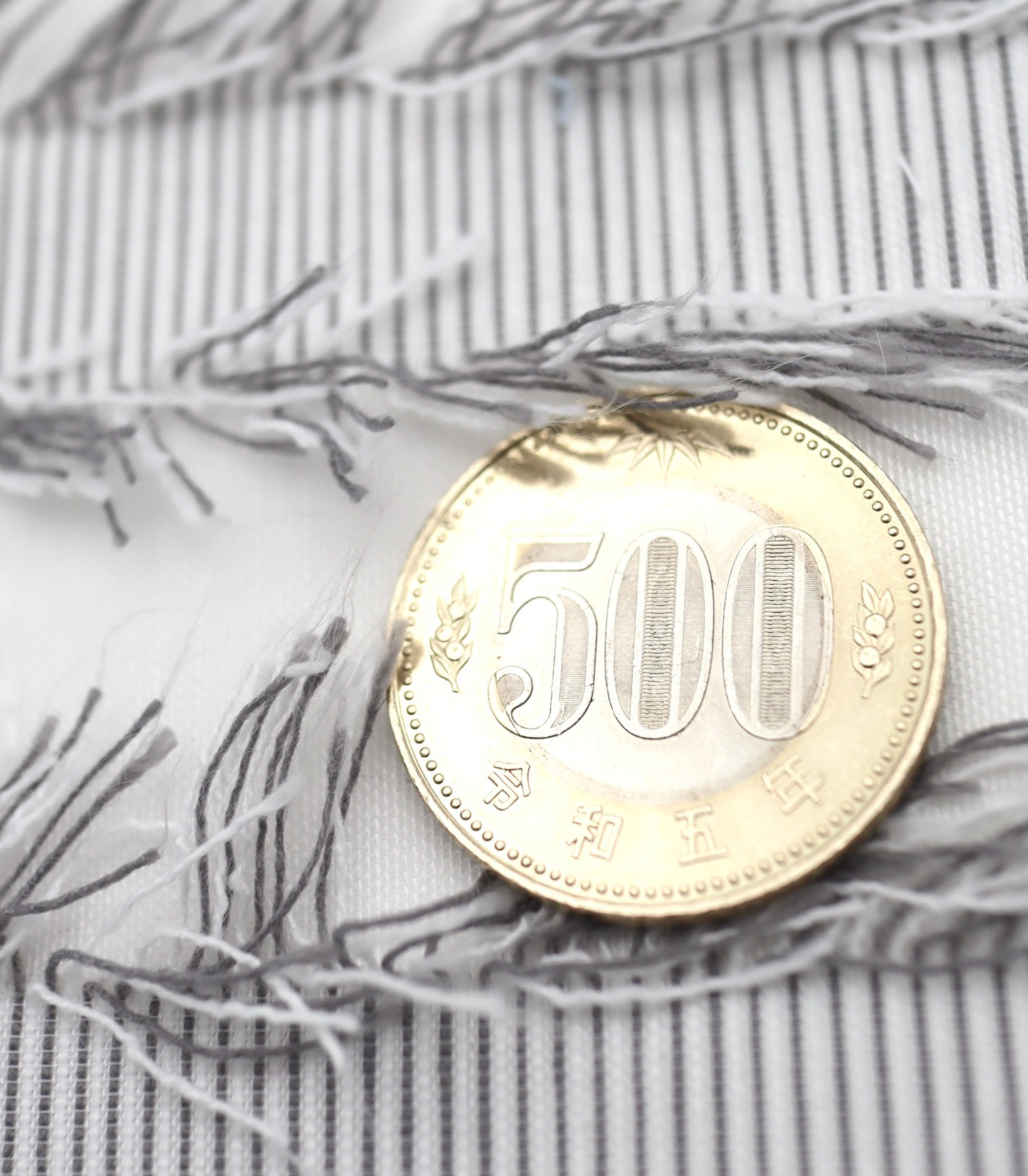 【25SS-308】フリンジジャガードシアーローン　/0.5ｙあたり = ～ 925円