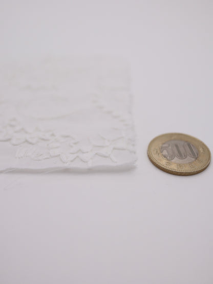 綿100%・ペイズリー刺繍レース生地｜【生地幅】約132センチ 【混率】綿100％｜春夏ブラウス・ワンピース・子供服向け 26SS-102