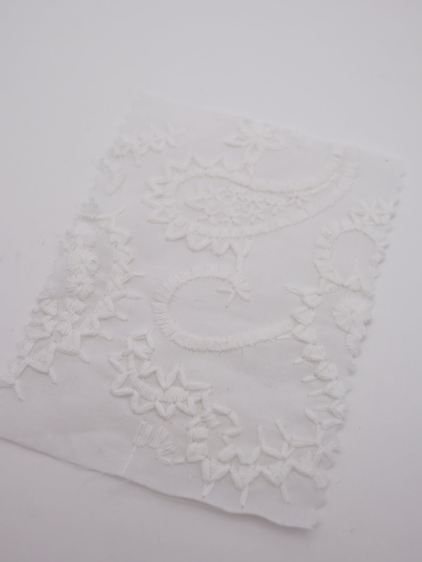 綿100%・ペイズリー刺繍レース生地｜【生地幅】約132センチ 【混率】綿100％｜春夏ブラウス・ワンピース・子供服向け 26SS-102