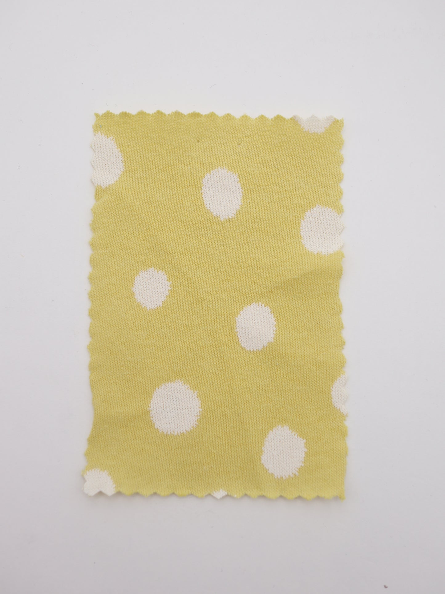 ペイントドット天竺ニット生地｜綿100％広幅｜ドッグウェア（犬服）・子供服向け｜26SS-037【生地仕入れ代行卸】