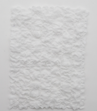 【25SS-205】カットドビードットジャガードシャーリングタフタ　/0.5ｙあたり = ～735円