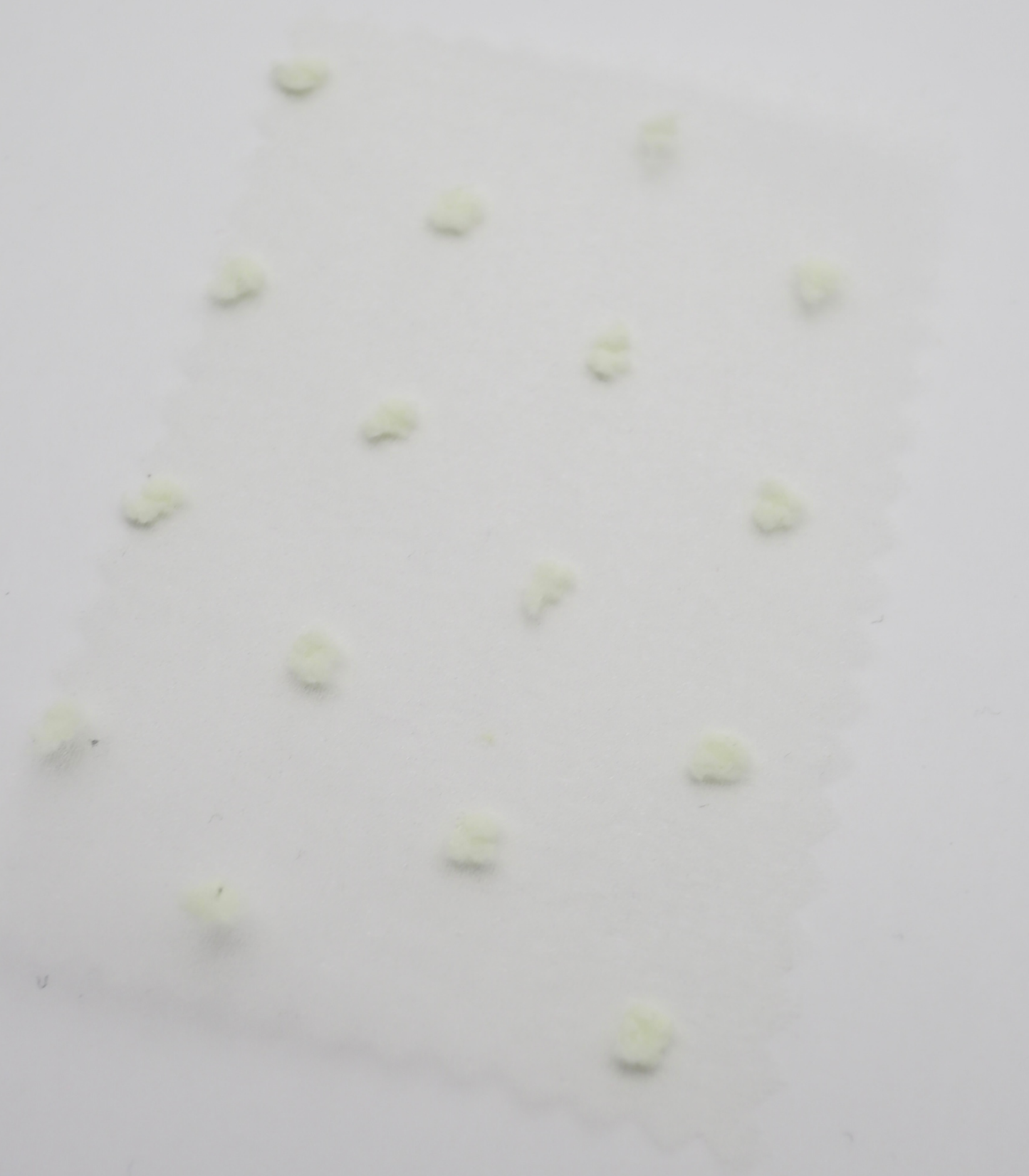 【25SS-374】もこもこカットドビードットキラキラしぼオーガンジー　/0.5ｙあたり = ～715円