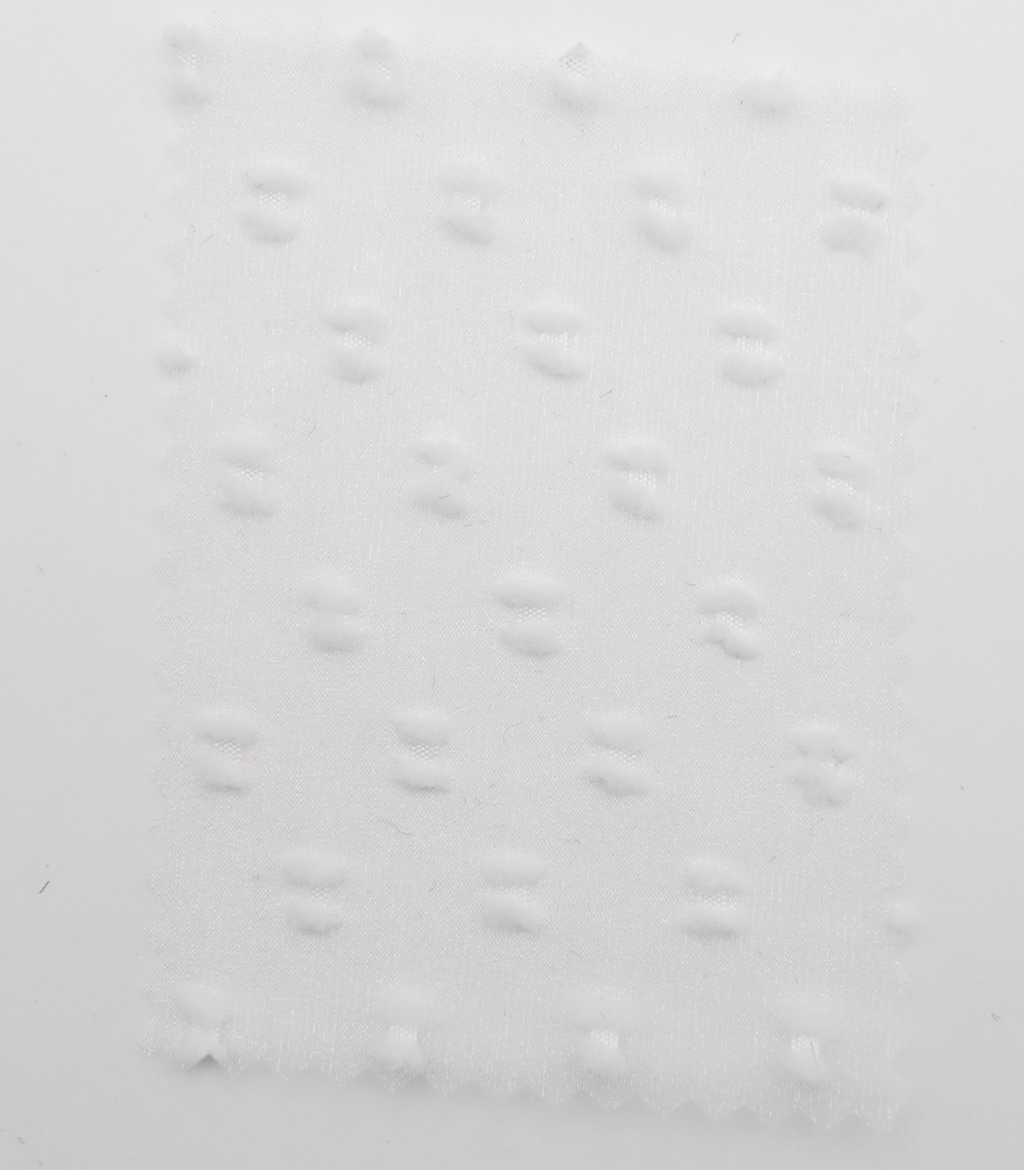 【25SS-375】フリンジドットジャガードシボオーガンジー　/0.5ｙあたり = ～715円