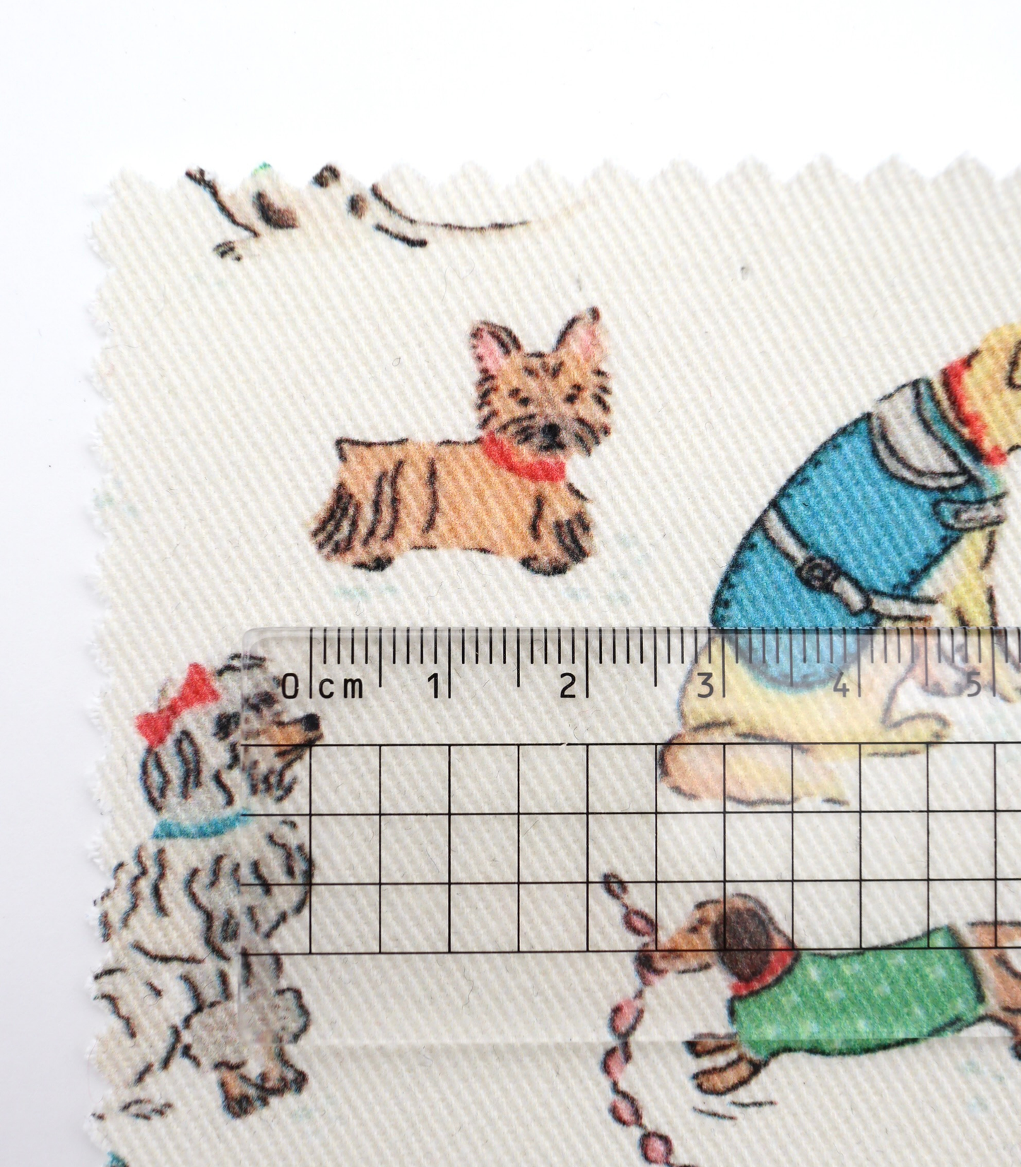 【25SS-218】ワンちゃん大集合プリントツイル　/0.5ｙあたり=～1095円