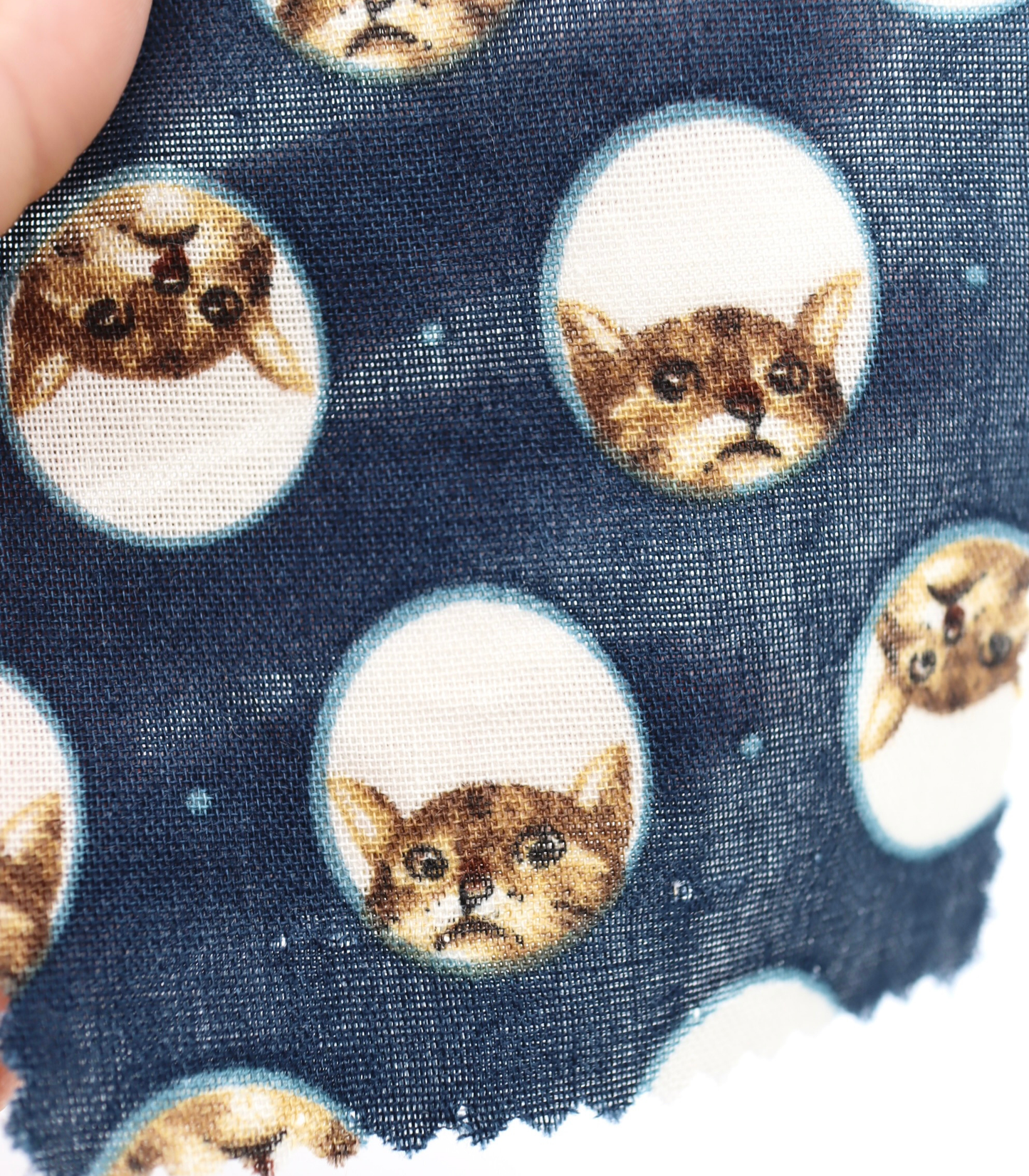 【25SS-290】のぞき見猫ちゃんプリントダブルガーゼ　/0.5ｙあたり=～850円