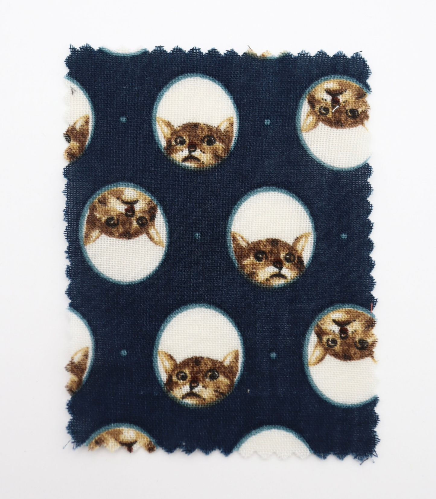 【25SS-290】のぞき見猫ちゃんプリントダブルガーゼ　/0.5ｙあたり=～850円