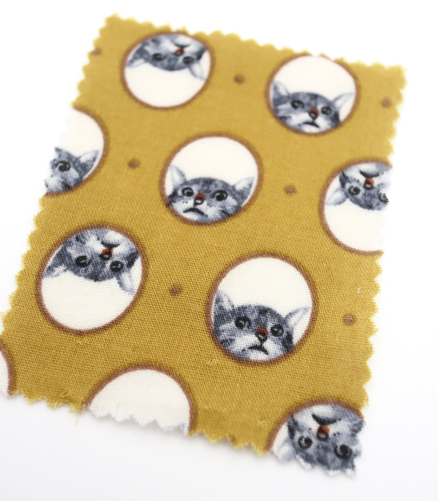 【25SS-290】のぞき見猫ちゃんプリントダブルガーゼ　/0.5ｙあたり=～850円