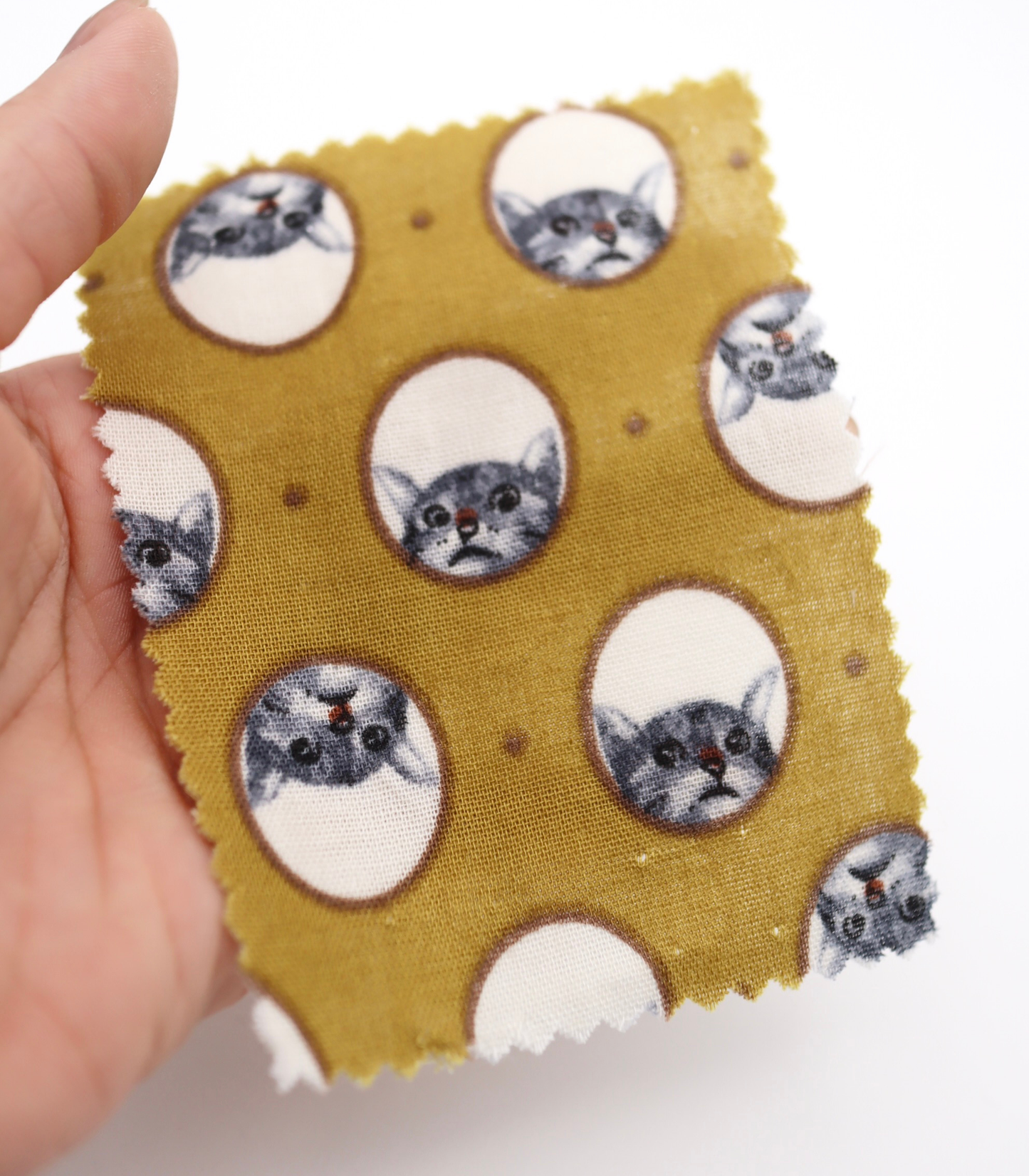 【25SS-290】のぞき見猫ちゃんプリントダブルガーゼ　/0.5ｙあたり=～850円