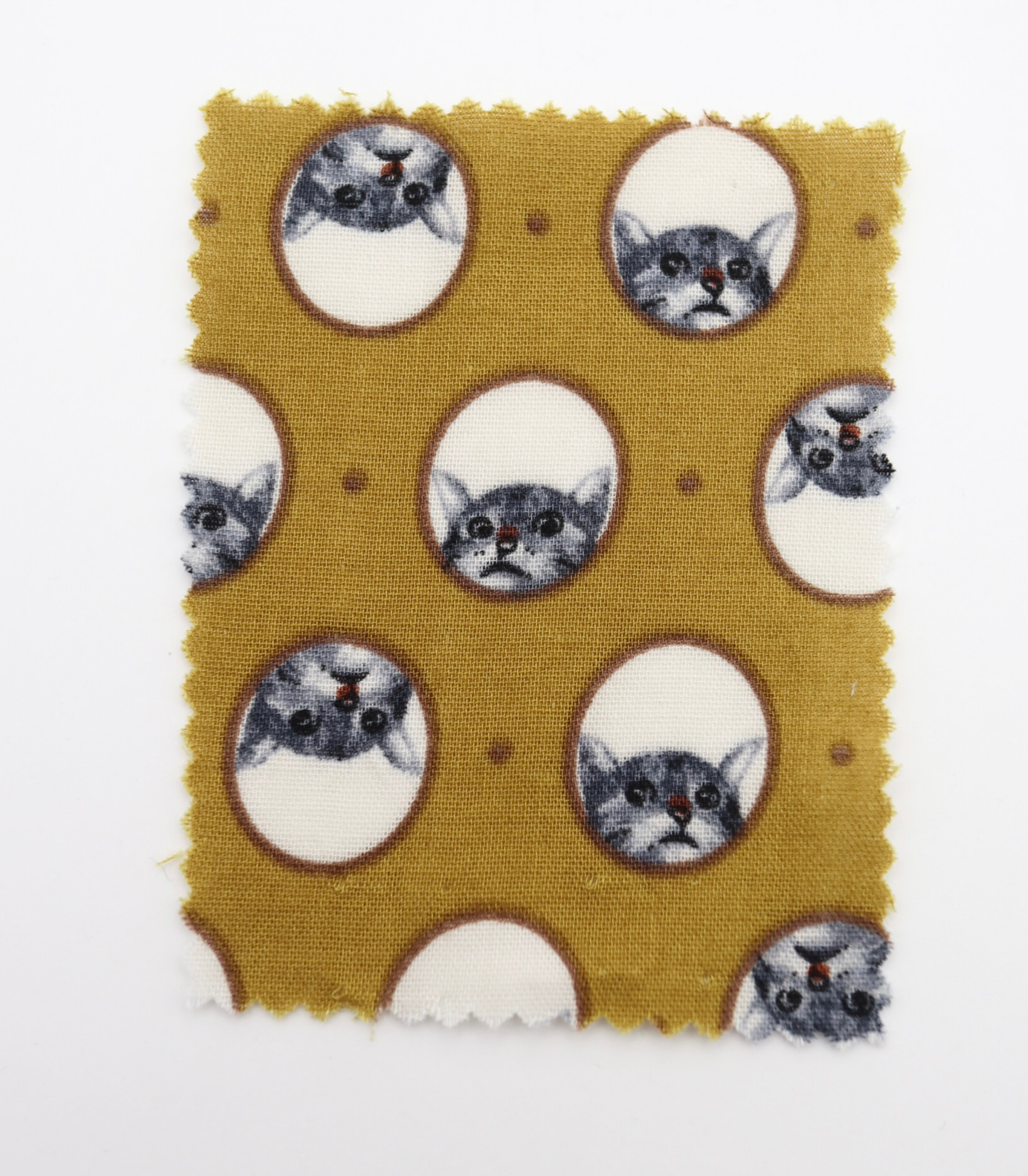 【25SS-290】のぞき見猫ちゃんプリントダブルガーゼ　/0.5ｙあたり=～850円