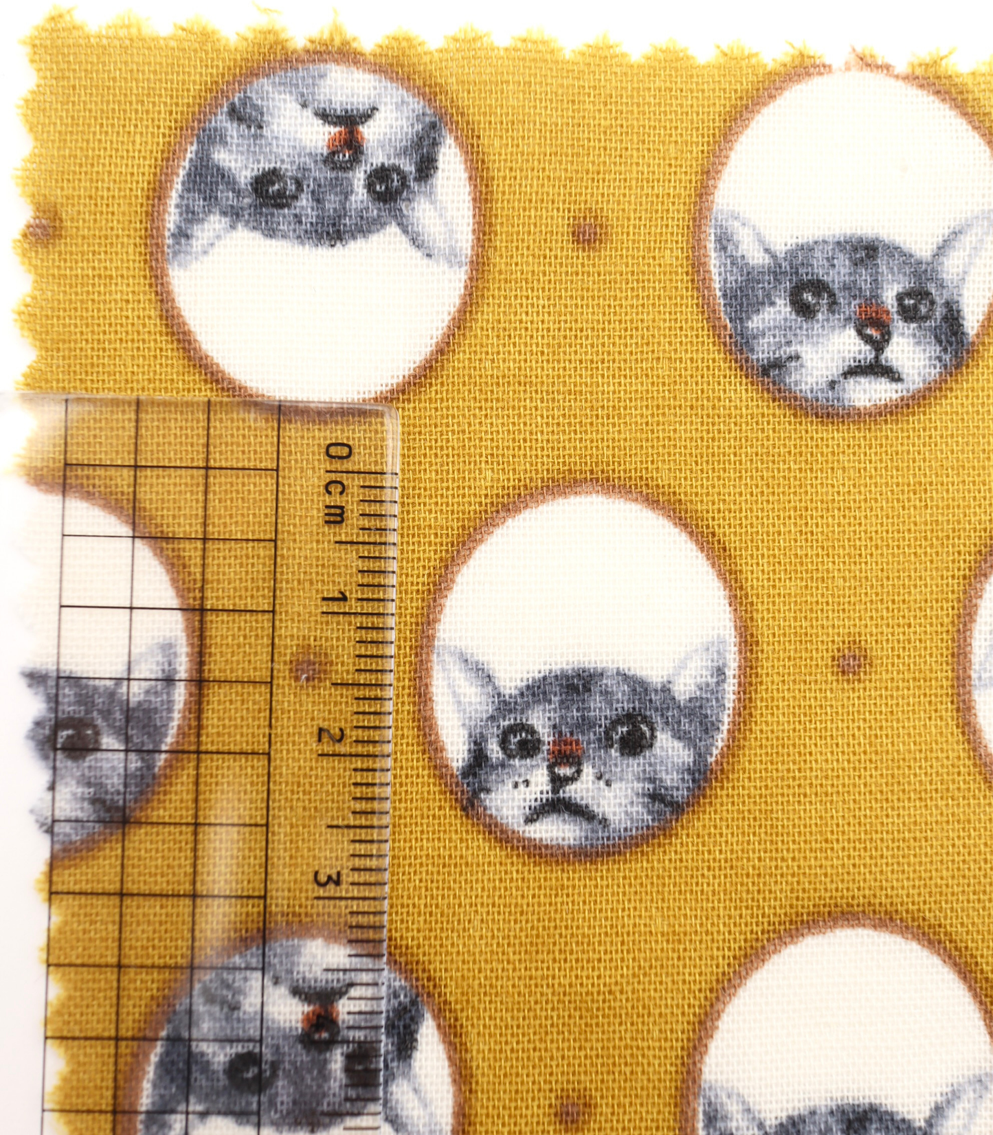 【25SS-290】のぞき見猫ちゃんプリントダブルガーゼ　/0.5ｙあたり=～850円