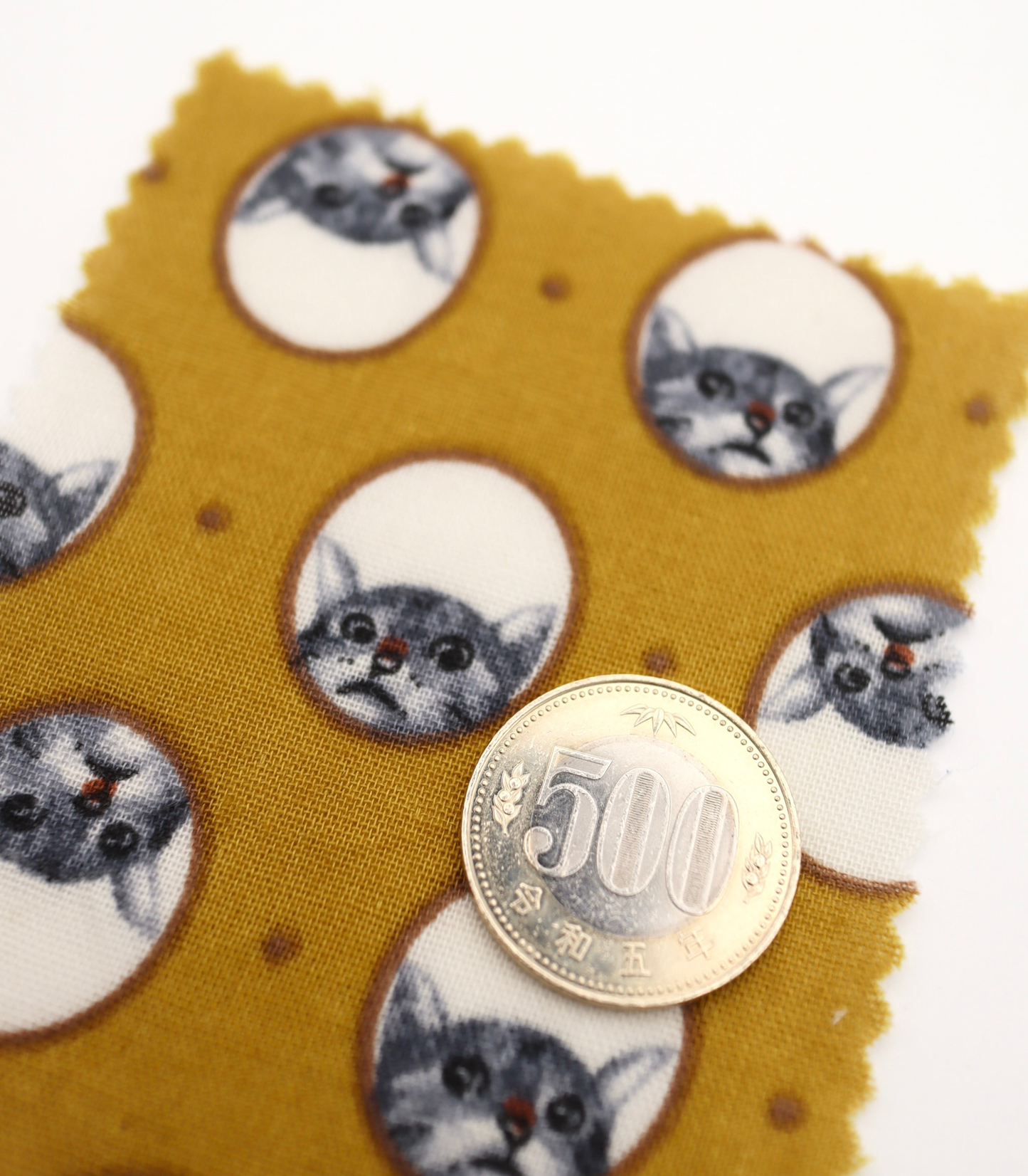 【25SS-290】のぞき見猫ちゃんプリントダブルガーゼ　/0.5ｙあたり=～850円