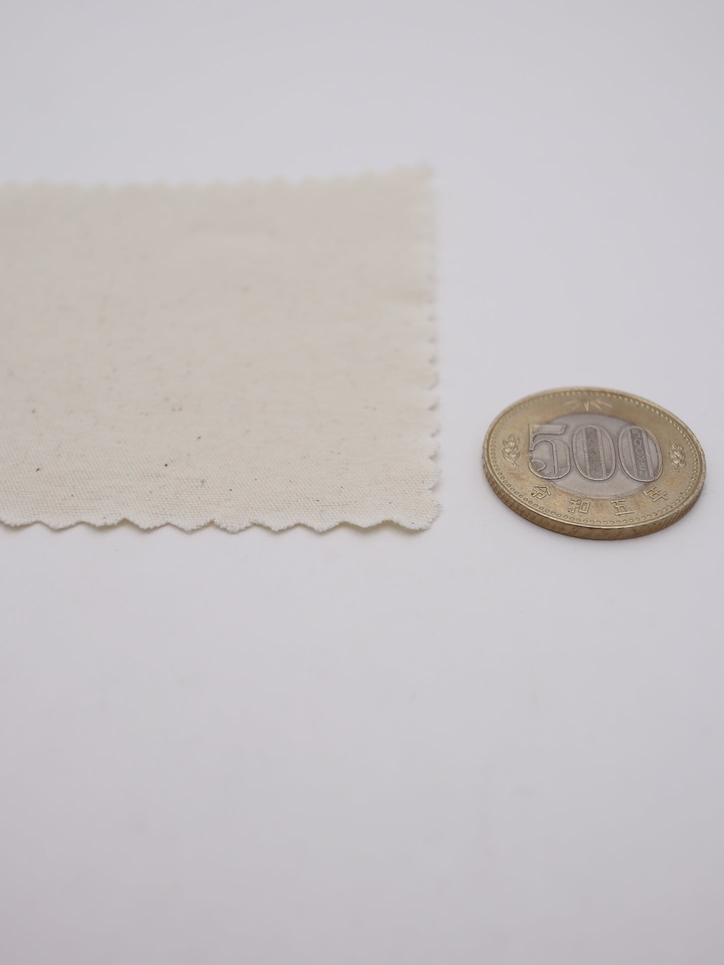 SDGS｜エコ｜リサイクルコットン　バイオウォッシュ加工 綿100％生地　サステナブル素材【26SS-169】