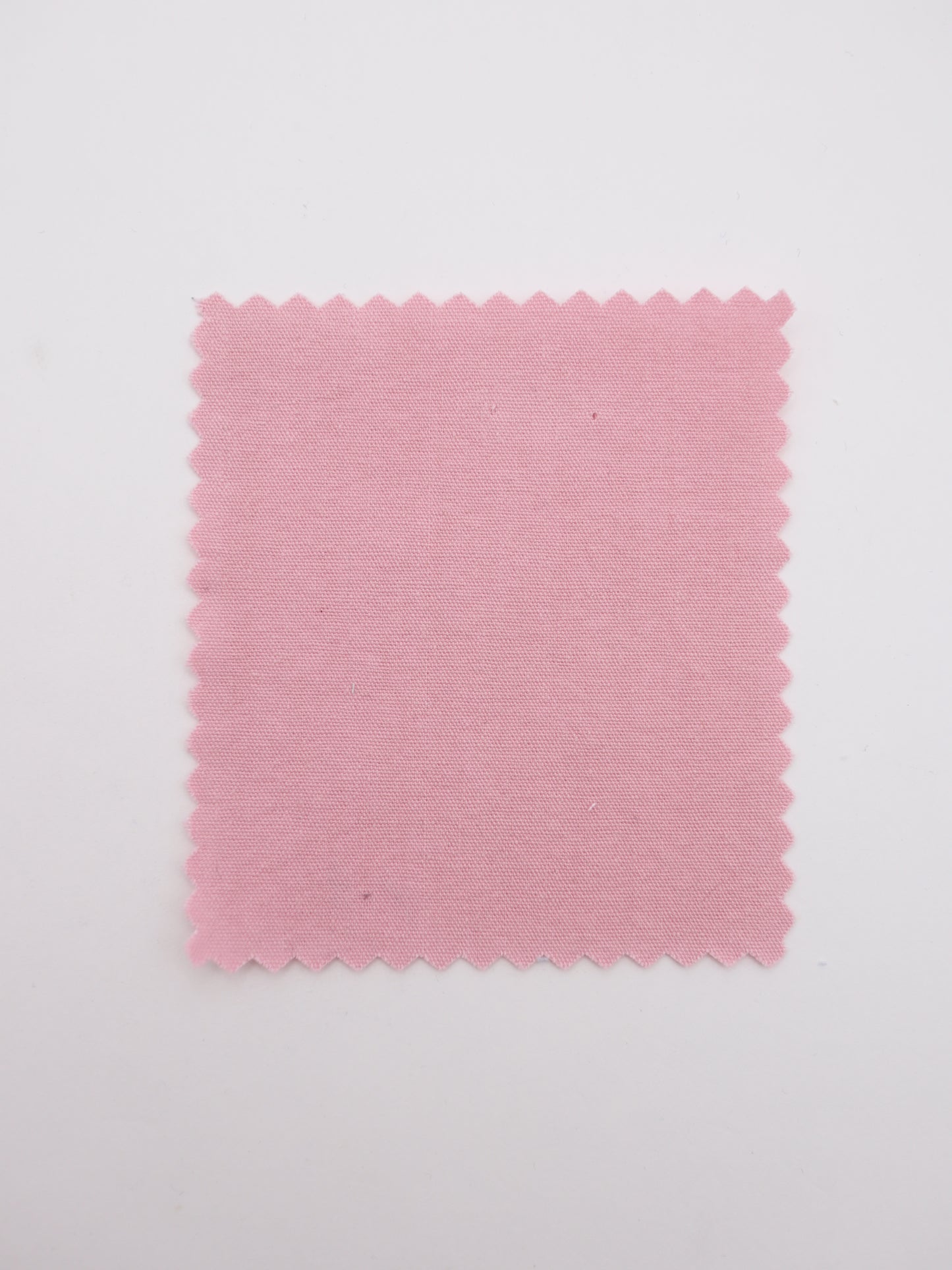 SDGS｜エコ｜リサイクルコットン　バイオウォッシュ加工 綿100％生地　サステナブル素材【26SS-169】