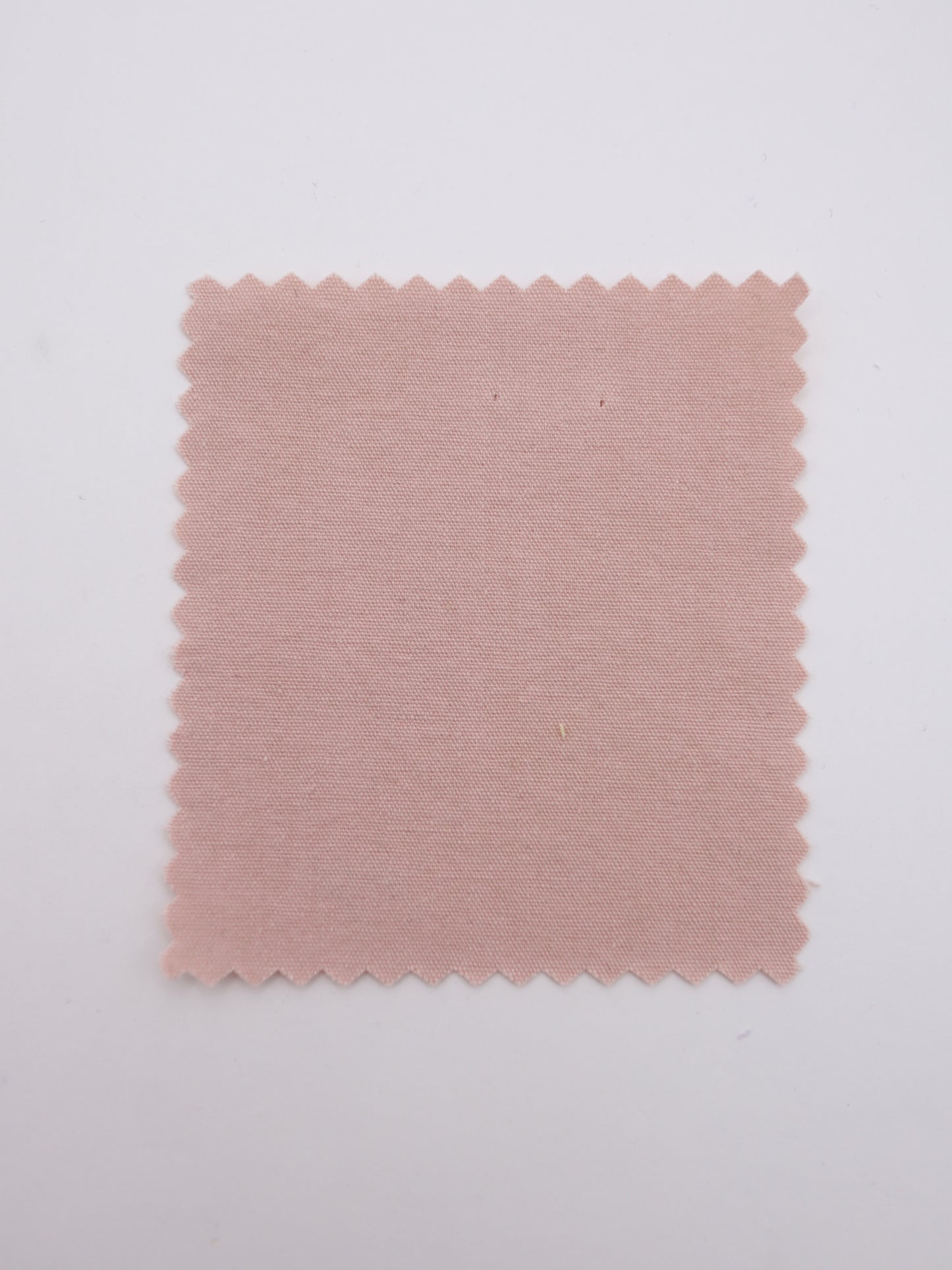 SDGS｜エコ｜リサイクルコットン　バイオウォッシュ加工 綿100％生地　サステナブル素材【26SS-169】