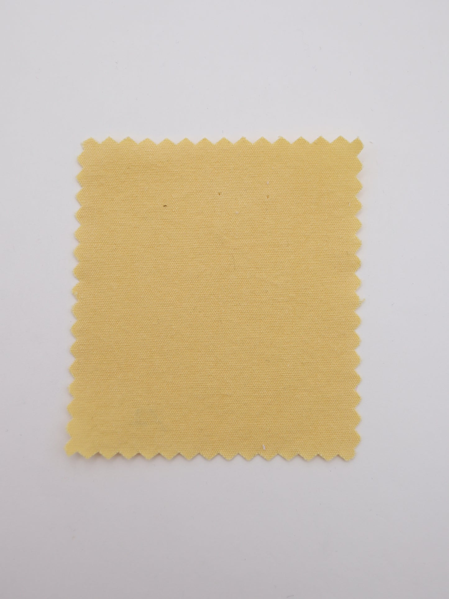 SDGS｜エコ｜リサイクルコットン　バイオウォッシュ加工 綿100％生地　サステナブル素材【26SS-169】