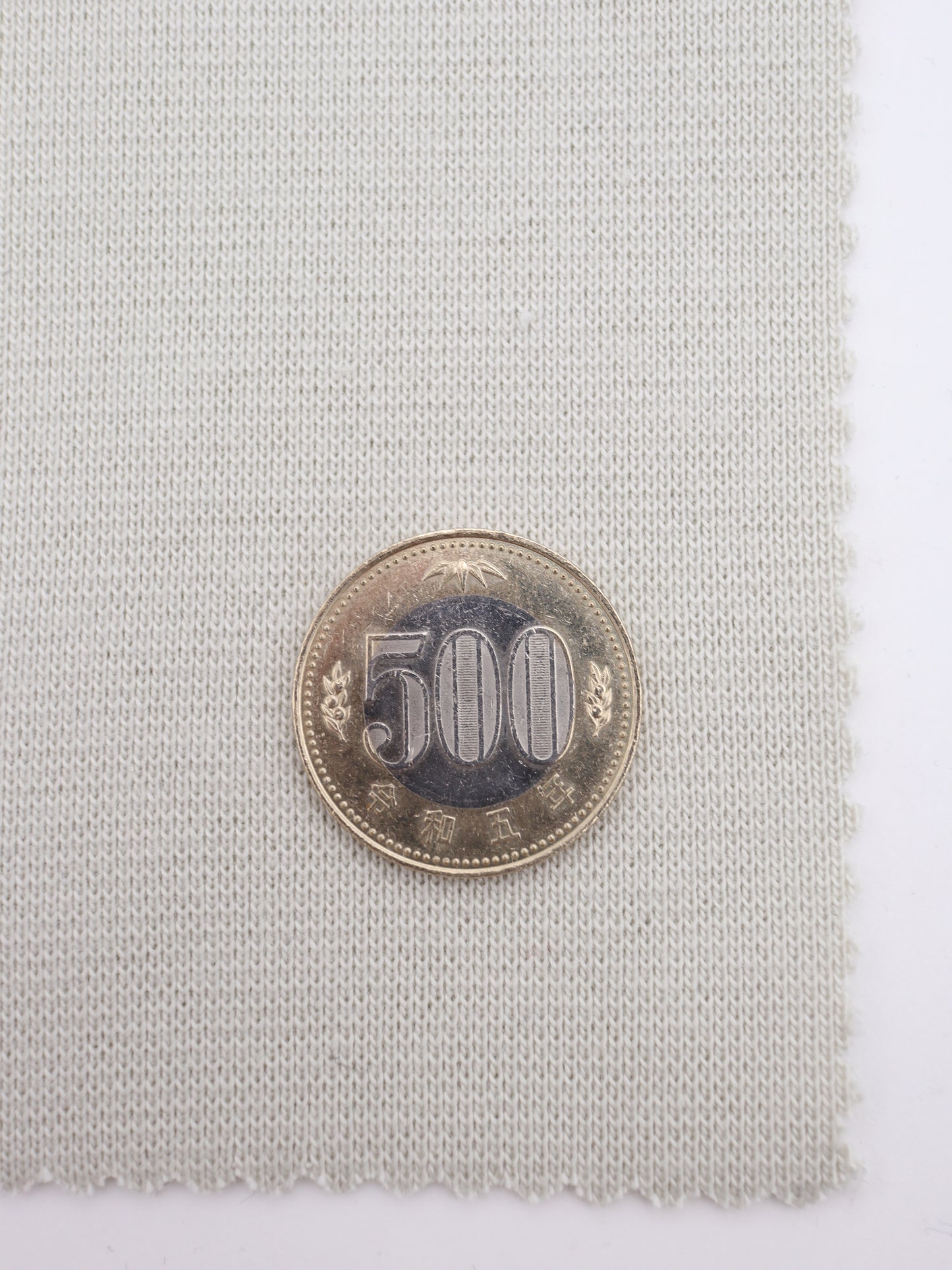 500円玉との比較で見るリブのピッチと生地の重厚なボリューム