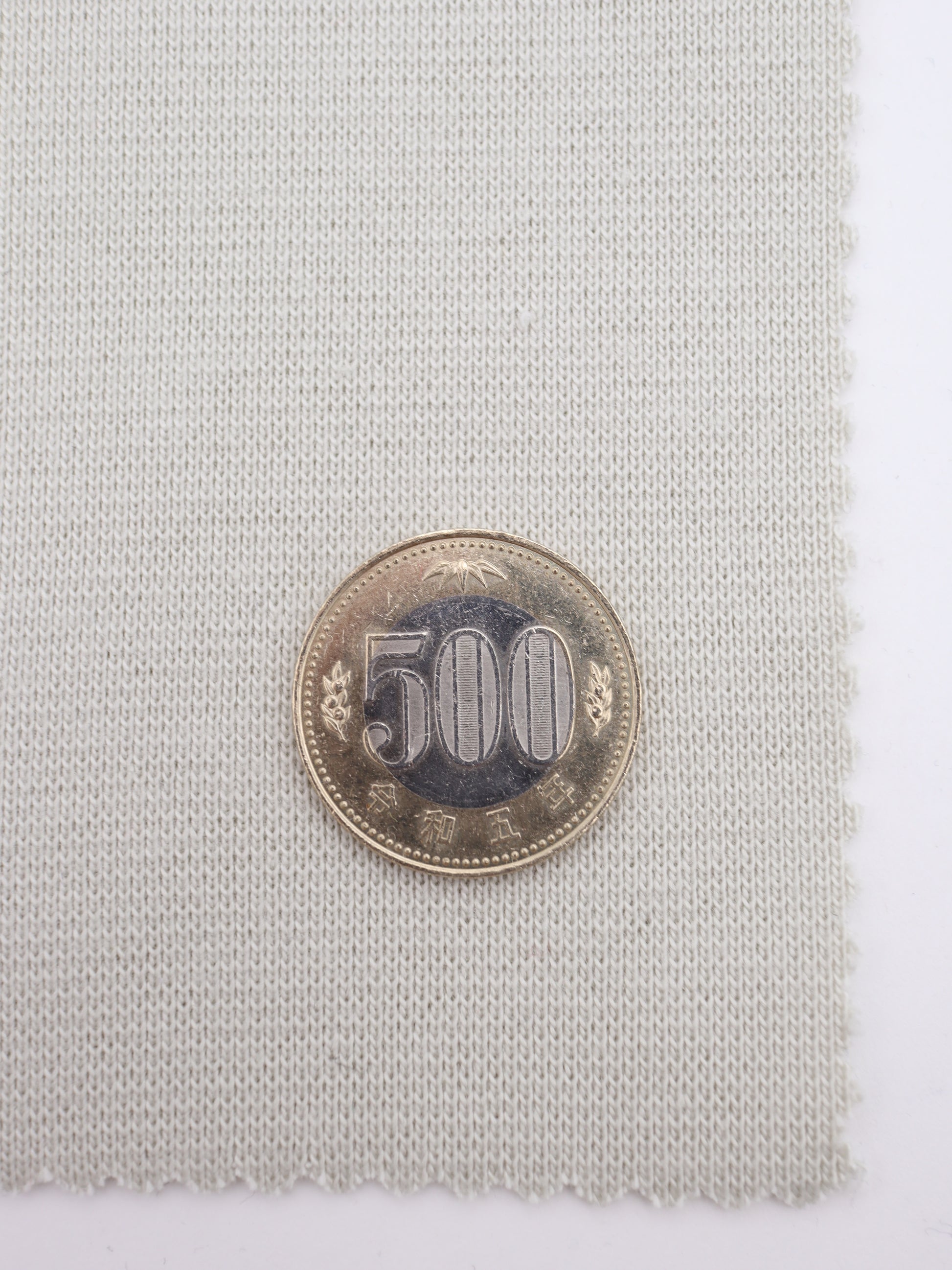 500円玉との比較で見るリブのピッチと生地の重厚なボリューム