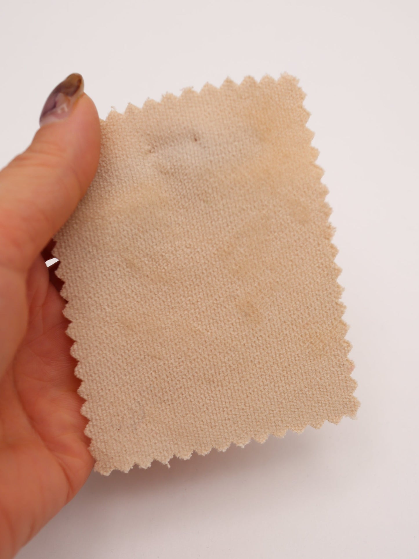 【25AW-126】素朴感あるストレッチある綿べっちん　/0.5ｙあたり = ～955円