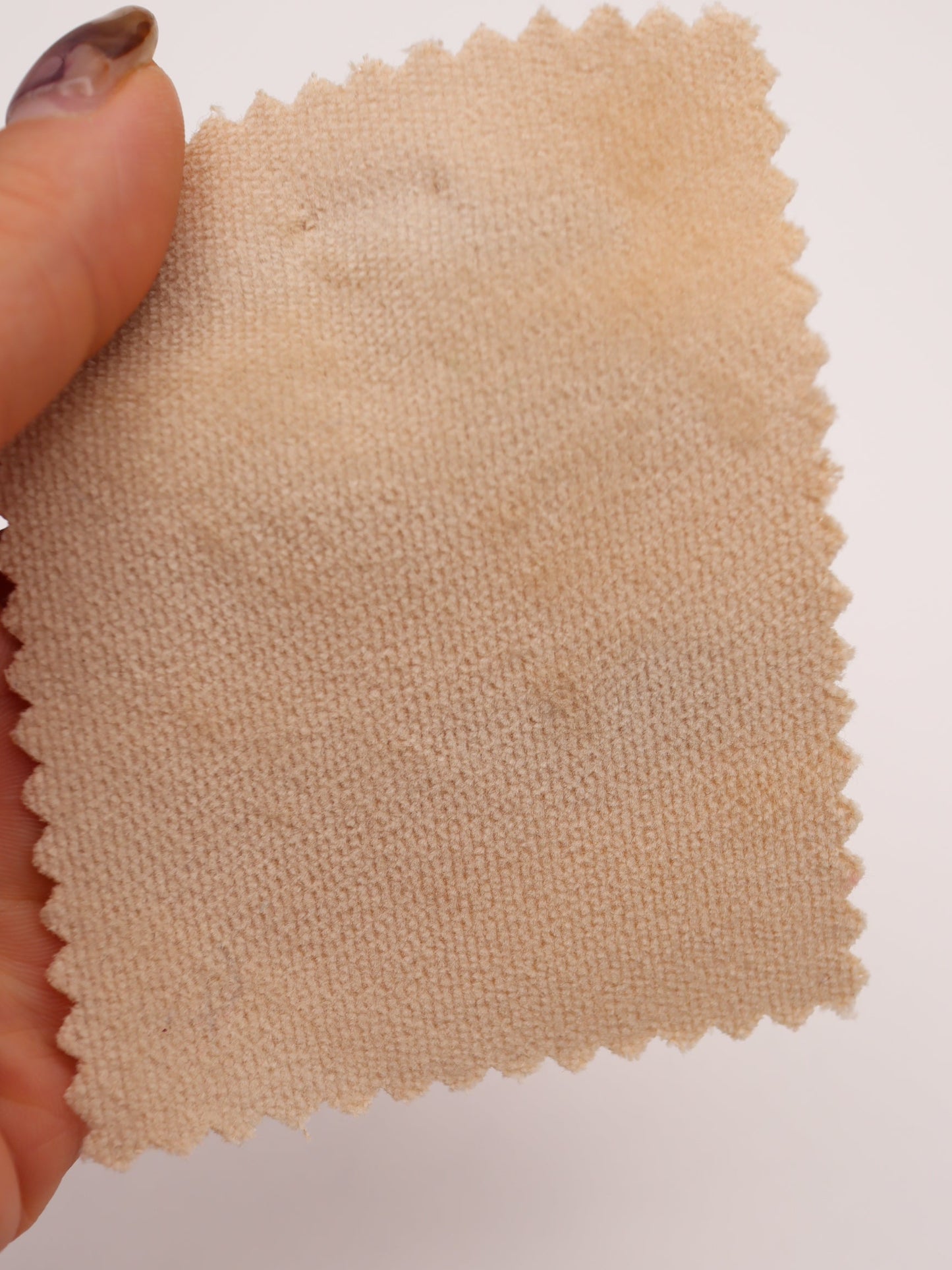 【25AW-126】素朴感あるストレッチある綿べっちん　/0.5ｙあたり = ～955円