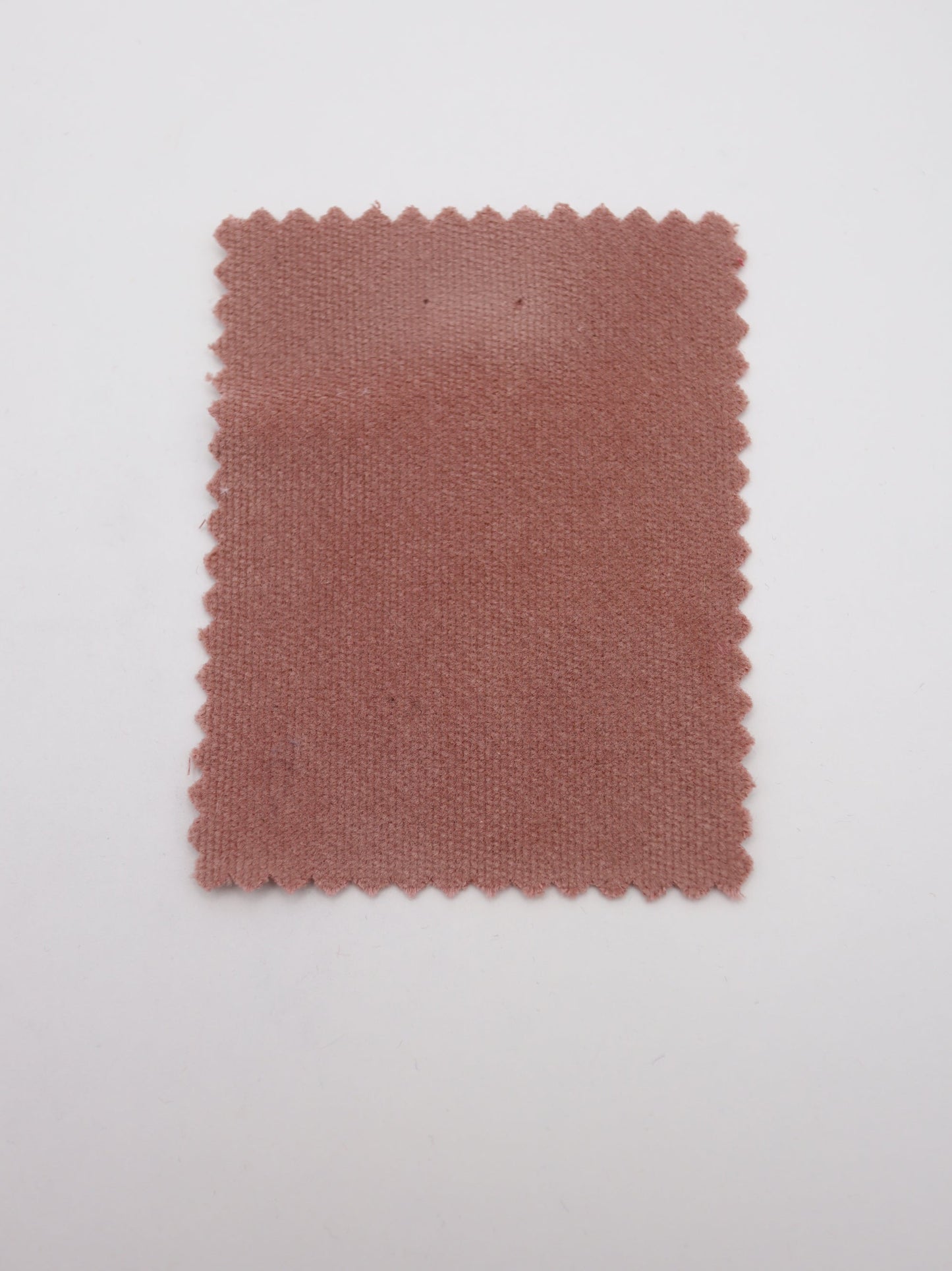 【25AW-126】素朴感あるストレッチある綿べっちん　/0.5ｙあたり = ～955円