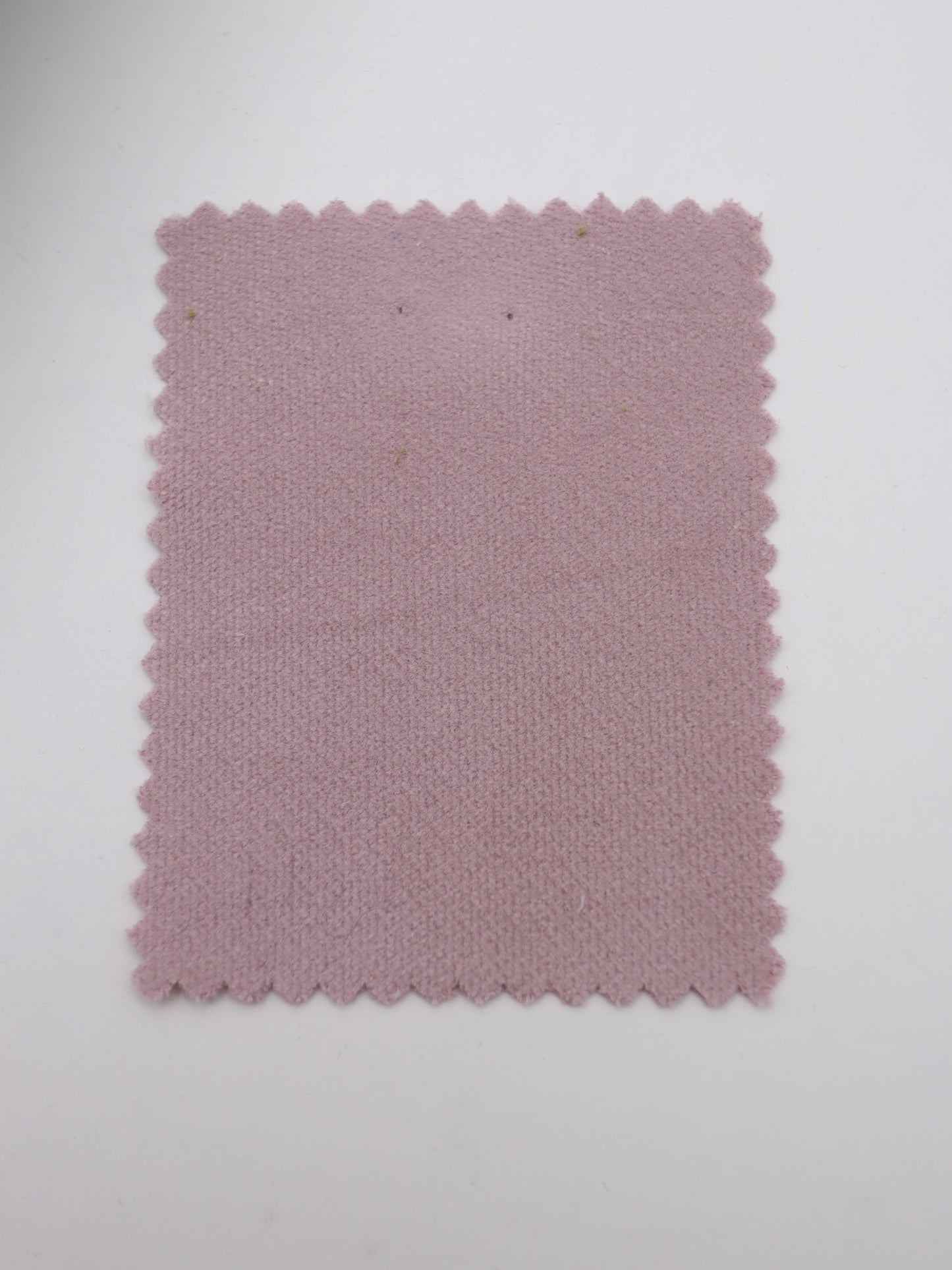 【25AW-126】素朴感あるストレッチある綿べっちん　/0.5ｙあたり = ～955円